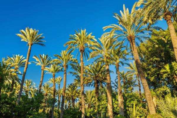 Academia Correos de Elche Academia Correos de Elche
